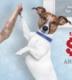 Drugstore.com: $10 OFF $40 in Pet Department